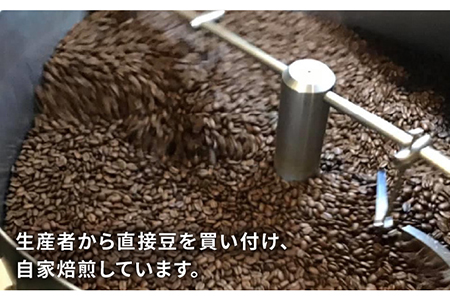 中煎り コーヒー 豆 250g × 2袋 （ 豆 ・ 粉 選べます ） エルポルベニール農園 パカマラ種 ナチュラル 《糸島》 【COFFEE UNIDOS】 [AQF004]