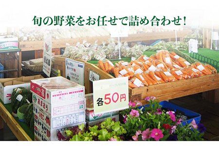 【 全12回 定期便 】 福岡県 糸島産 旬 の 野菜 盛り合わせ セット 《糸島》【株式会社フロンティア・アドバンス】[AWC009]