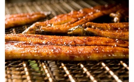 四万十味紀行 うなぎ飯の素／Ess-08