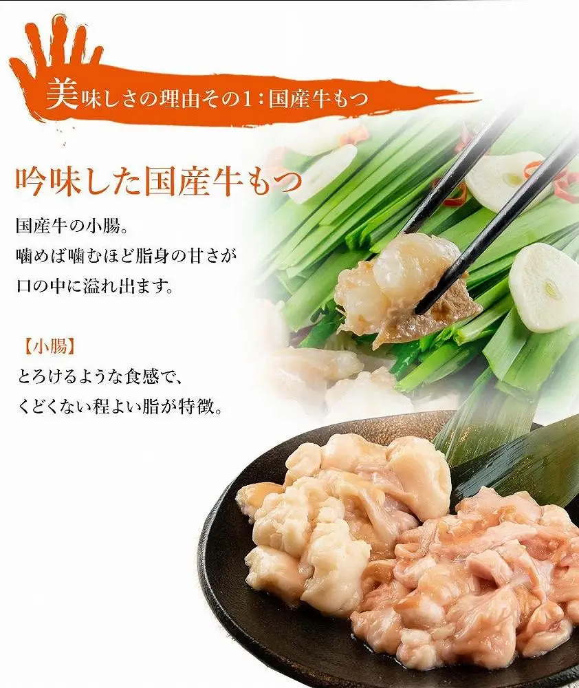 九州名物とめ手羽 博多もつ鍋セット 九州しょうゆ味 2-3人前【冷凍配送】 | 福岡県 福岡市 福岡 九州 納税 返礼品 返礼 お取り寄せグルメ 取り寄せ グルメ お取り寄せ 博多 もつ鍋 モツ鍋 もつなべ もつ鍋セット 鍋セット もつ モツ