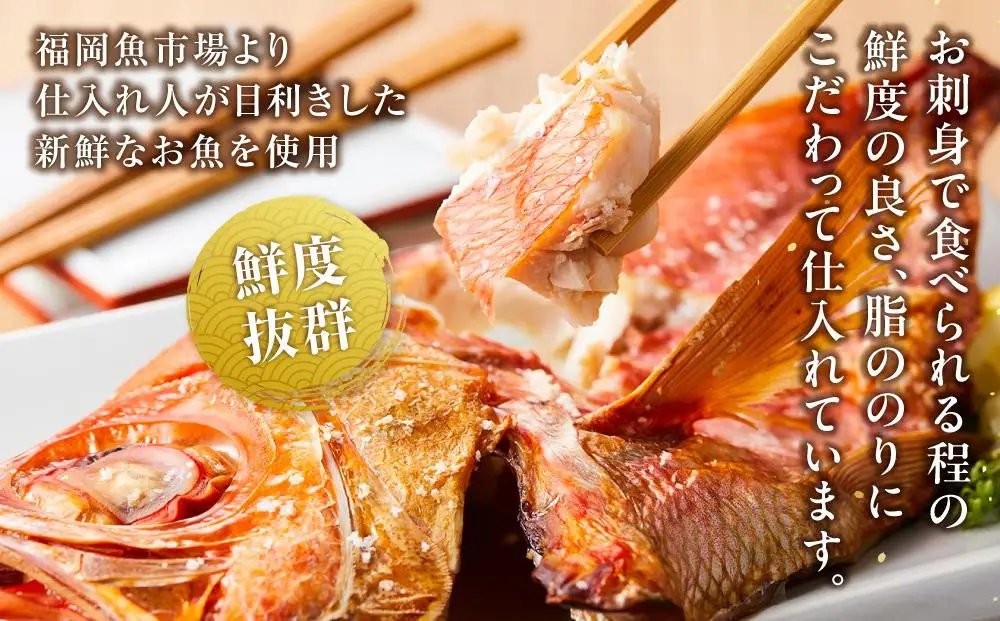 博多製造 低温熟成無添加ひものセット | 福岡県 福岡市 福岡 九州 納税 返礼品 返礼 お取り寄せグルメ 取り寄せ グルメ お取り寄せ 博多 干物 ひもの 魚介類 魚介 魚 おつまみ つまみ 無添加 セット
