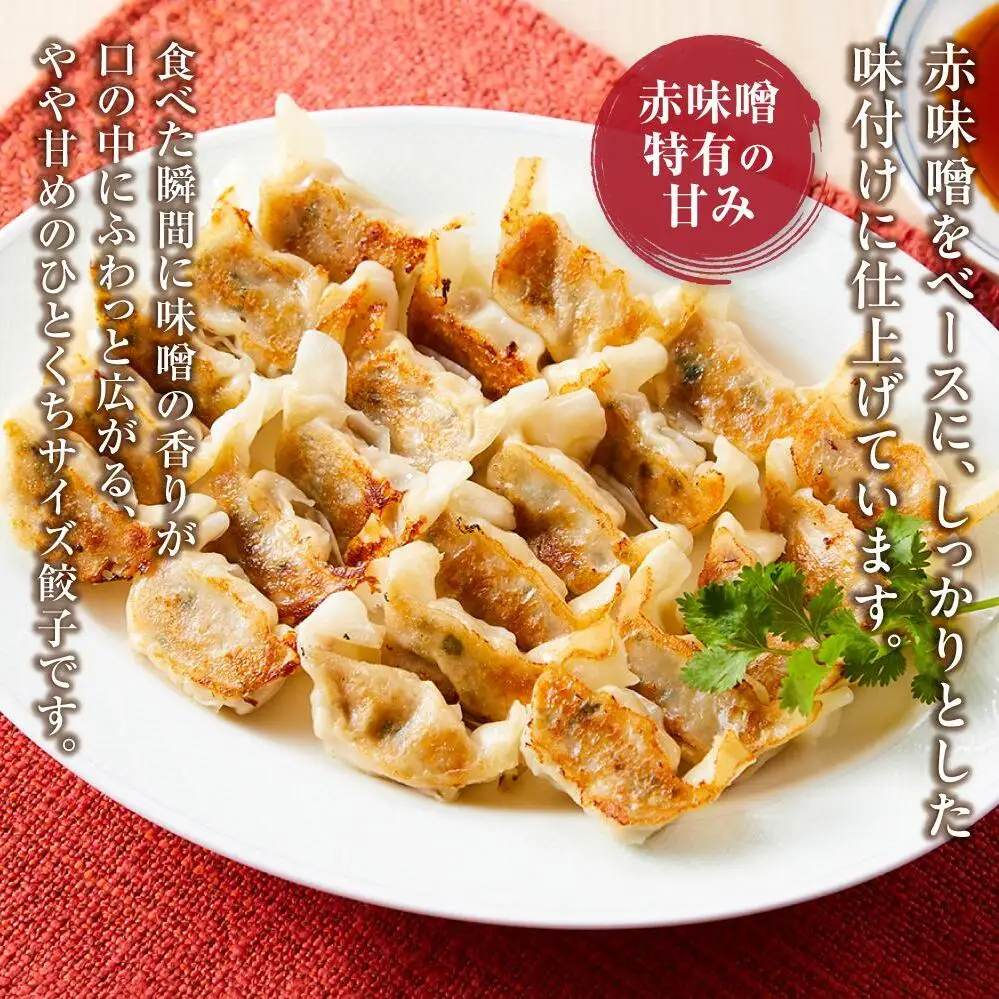 博多 一口餃子 25個 6パック セット 詰め合わせ 大容量 小分け ぎょうざ ギョウザ 国産豚肉 生餃子 冷凍餃子 餃子 焼き餃子 中華 惣菜 冷凍食品 おかず おつまみ つまみ 酒のつまみ お取り寄せ お取り寄せグルメ 博多 福岡市