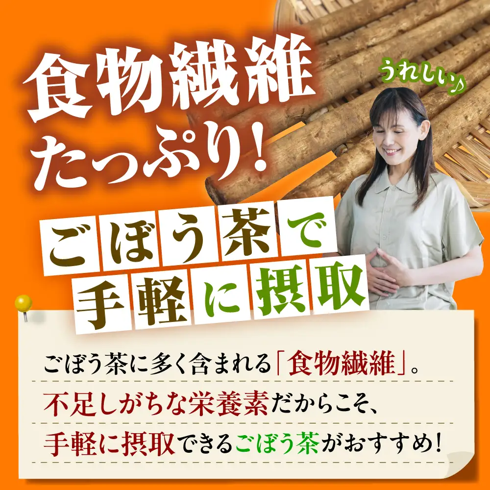 なまら十勝野の ごぼう茶 ティーバッグ 10袋入×3パック 計30包 国産 栄養 たっぷり 根菜 腸活 無添加 ダイエット ゴボウ 茶 飲料 お茶 北海道 十勝 芽室町me001-008c