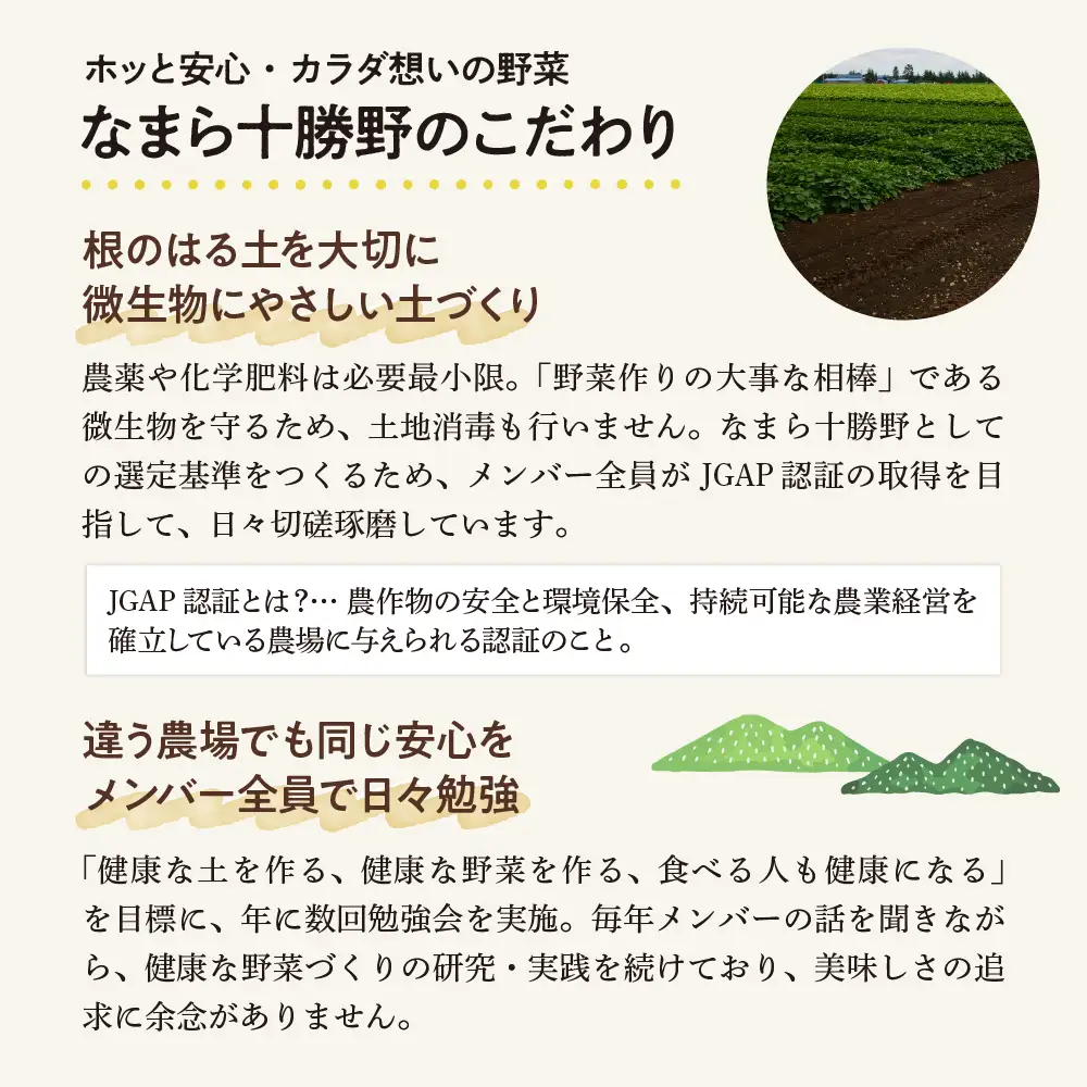 【先行受付】【2026年8月より発送】北海道十勝芽室町 なまら十勝野の季節のおまかせ野菜セット（夏） me001-009c 詰合せ 旬 食品 グルメ 送料無料 冷蔵発送 北海道 十勝 芽室町