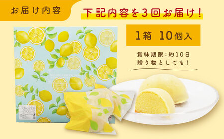 【3回定期便】レモンケーキ 10個入【 観光ビルはたなか】[PAX022]  焼き菓子 洋菓子 スイーツ ギフト 贈答