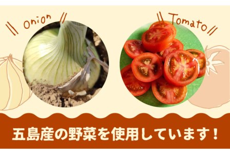 【五島牛と五島産の食材を使用】こだわりの五島ハヤシ 5袋セット ハヤシライス レトルト  五島市 / 出口さんご [PBK014]  ブランド牛 五島牛 トマト たまねぎ 本格 お取り寄せ 
