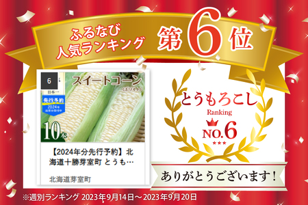 【先行受付】【2026年7月下旬～8月中旬頃配送】北海道十勝芽室町 とうもろこし 10本 ホワイト種とうもろこし トウモロコシ 北海道 十勝 芽室町 生 野菜 人気 キャンプ飯 BBQ ソロキャン お取り寄せ me002-005c-26