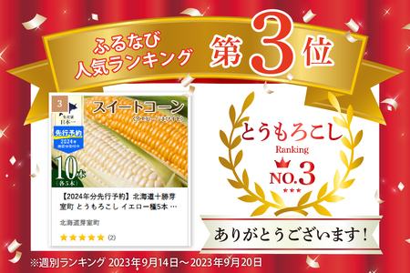 とうもろこし イエロー ホワイト 各 5本 トウモロコシ
