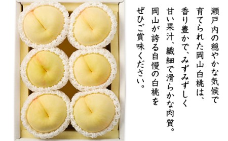 74-03 白桃5～6玉（1.2kg以上）【2026年7月上旬～8月上旬頃発送予定】