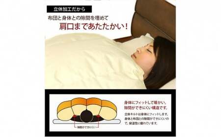 羽毛布団【SL（シングルロング）】ハンガリー産ホワイトダックダウン85％ 無地 寝具 掛け布団 暖かい 綿 手作り 日本製  FAD-0857