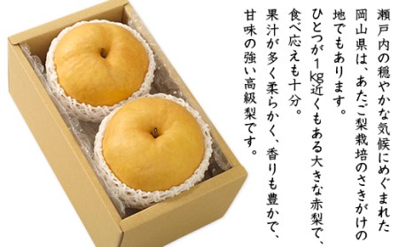 74-22 あたご梨2玉（1.8kg以上）【2026年11月下旬～12月中旬発送予定】