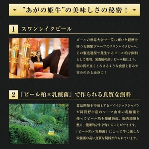 あがの姫牛 ヒレステーキ 100g×3枚 牛肉 肉 牛 赤身肉 柔らか 上質 メス牛 雌牛 国産 ブランド牛 冷凍 化粧箱入 のし 贈答  贈り物 ギフト プレゼント お中元 お歳暮 父の日 母の日 敬老の日 ステーキ 新鮮 新潟県 阿賀野市 1D13020