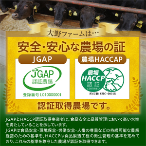 COWCOW ビーフ ハンバーグ 十勝牛肉 100％使用 肉汁たっぷり 160g×7個 計1.1kg 北海道産 牛肉  ディナー 時短 焼くだけ 簡単 おかず ランチ 弁当 惣菜 国産牛 冷凍 北海道 十勝 芽室町me007-004c