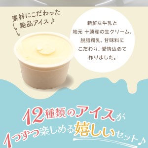 カップ アイスクリーム 95ml × 12 種 セット みるく 山わさび かぼちゃ とうもろこし 黒豆きなこ あずき 抹茶 黒ごま チョコア（チョコ ココア） チョコヒー（チョコ コーヒー）ラムレーズン ヨーグルト 牛乳 スイーツ 詰め合わせ 北海道 十勝 芽室町me008-002c