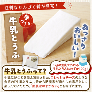 北海道十勝芽室町 あいす屋の手作り牛乳とうふ＆ヨーグルトセット 豆腐 とうふ ヨーグルト チーズ 牛乳 ミルク 北海道 芽室町 me008-001c