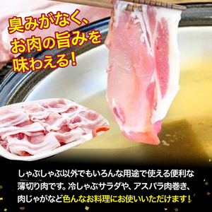 農林水産大臣賞獲得の「四万十ポーク」平野協同畜産の「麦豚」ロースとんかつ＆しゃぶしゃぶセット1.1kg 豚カツ 国産 お肉  ポーク 冷蔵 ／Ahc-03