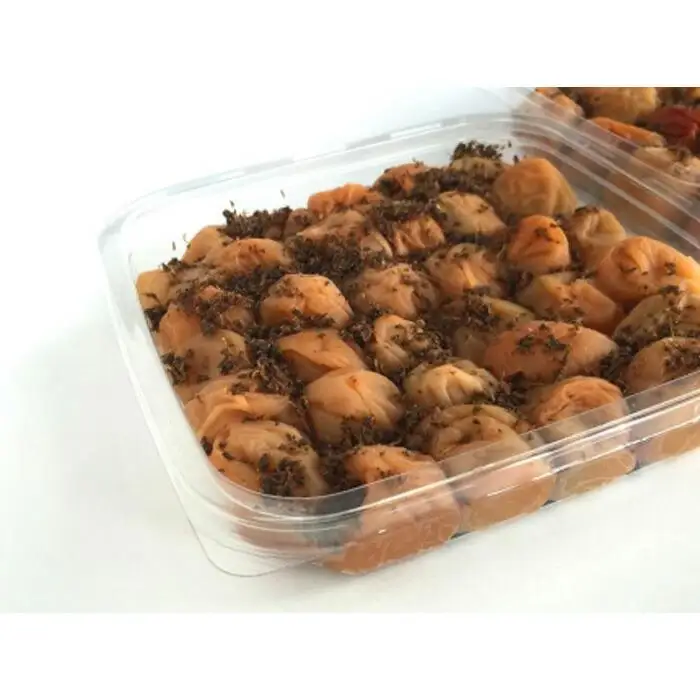 訳ありかつお梅干（紀州南高梅）1.2kg（600g×2）塩分11％