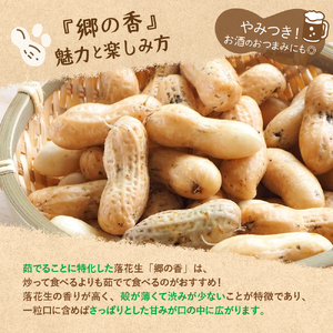 【2026年出荷分】北海道十勝芽室町 生落花生 茹で用 郷の香 1kg ( 500g ×2袋 ) さとのか 大粒 落花生 らっかせい 生らっかせい 生 豆 ピーナッツ ナッツ おやつ おつまみ つまみ おかず 冷蔵 予約 先行受付 秋 旬 国産 北海道十勝芽室町 me028-003c-26