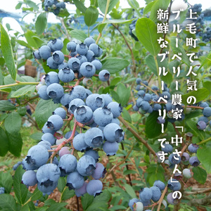 【叶え屋】 上毛町産 ブルーベリー 生果実 500g×2パック_K01401