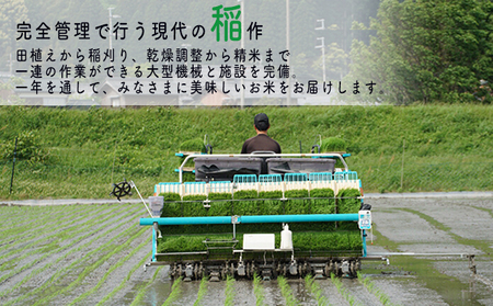 【6ヶ月連続】令和8年産福井県若狭町コシヒカリ（一等米）5kg（山心ファーム） お米 福井県産 甘い