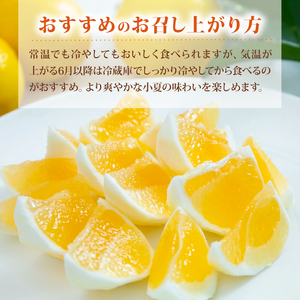 訳あり小夏 (日向夏) 5kg【小夏】