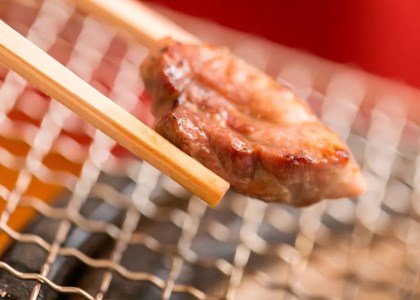「土佐ジロー」地鶏 カット肉 400g 地鶏
