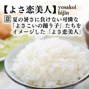 【令和8年産】 新米 定期便 10kg×4回 よさ恋美人 新米 AS006