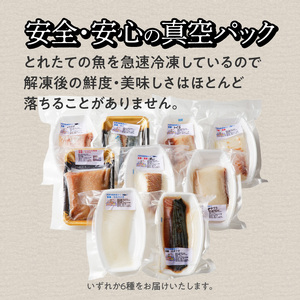 S059-015_天草わくわく旬魚刺身づくし（さく）8～9人前