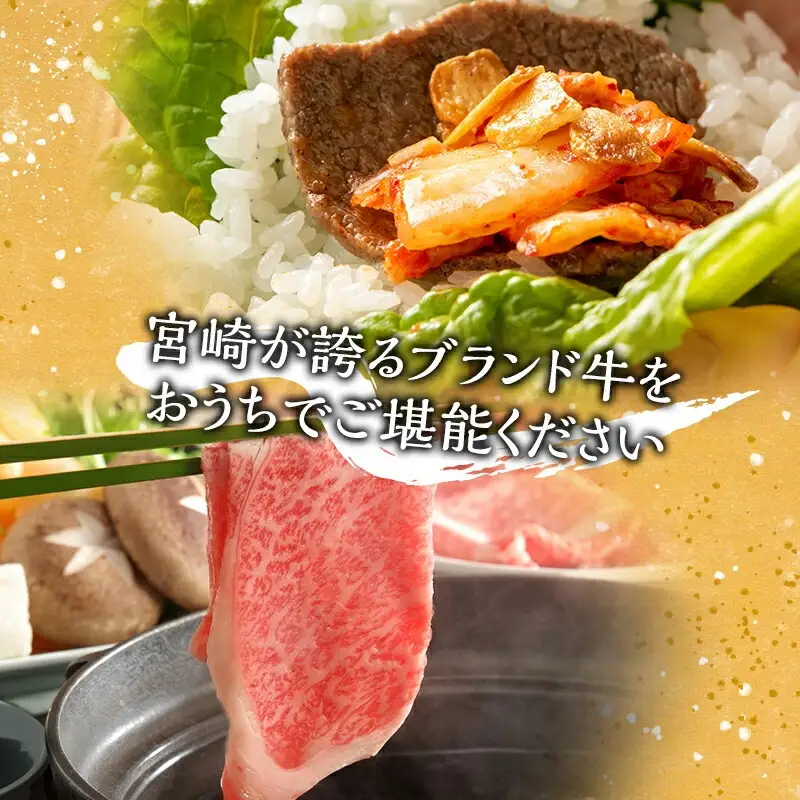 牛肉 モモスライス 牛肉[宮崎牛 カルビ焼肉 セット 800g]