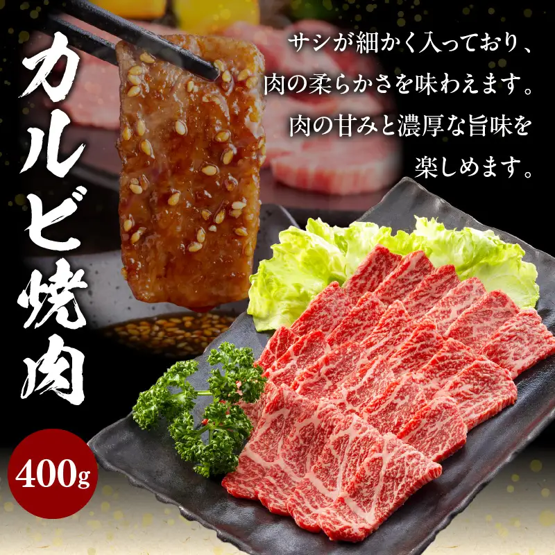 牛肉 カルビ焼肉 牛肉[宮崎牛 切り落とし セット 800g]