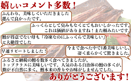 温泉うなぎ蒲焼 3尾（160gサイズ） 国産 九州 うな丼 うな重 鰻 完全無投薬 ギフト 土用の丑の日 ＜104-012＞