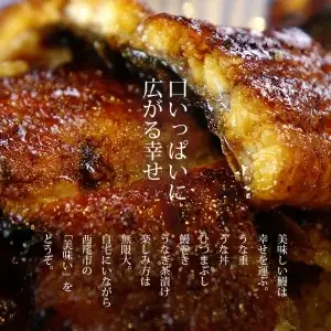 【期間限定】三河産うなぎ　「おばけ蒲焼うなぎ2尾」(2尾合計450～460g)・A126-19