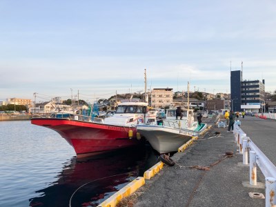 【つり船】三崎港えいあん丸【手ぶらで船釣り】乗船券（1名様分） M083-002 チケット 体験