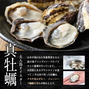 真ガキ 大入島オイスター (約1.3kg) 牡蠣 かき カキ 貝 海鮮 魚介類 冷蔵 生食可 シングルシード 養殖 大分県 佐伯市【ED08】【(合)新栄丸】