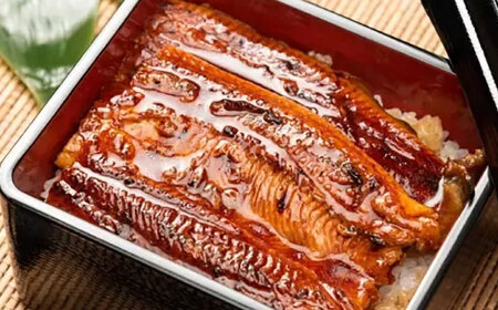 【最速発送】「土佐の海 川 山」 鰹たたき うなぎ蒲焼き あかうしセット かつお 鰹 藁焼き カツオ 鰻 うなぎ 赤牛 あか牛 牛肉 【株式会社Dorago】 [ATAM008]　スピード 最短 最速 発送