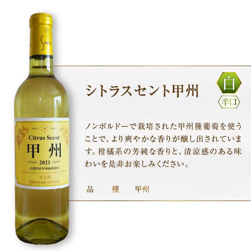 ワイン 蒼龍葡萄酒『甲州ワイン』飲み比べ白ワイン2本セット（MG）B12-653