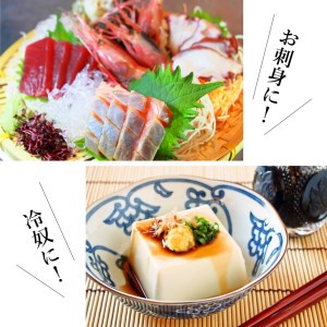 うどんだし 10倍濃縮 株式会社ＴＫＳ 滋賀県 東近江市 A10 うどんスープ 出汁 醤油 万能調味料 濃縮 めんつゆ 国産 かつお 昆布 老舗