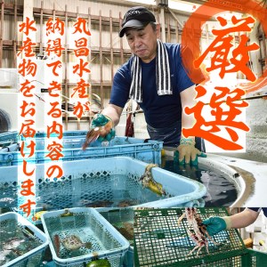 天然 鮮魚詰め合わせ (合計約2.8-3.2kg・3種以上) 直送 産直 漁師 魚 鮮魚 天然 マダイ 鯛 マアジ 鯵 イサキ サバ 鯖 ブリ 鰤 獲れたて 刺身 煮つけ 塩焼き 冷蔵 豊後水道 鮮魚【CS01】【 (有)丸昌水産】