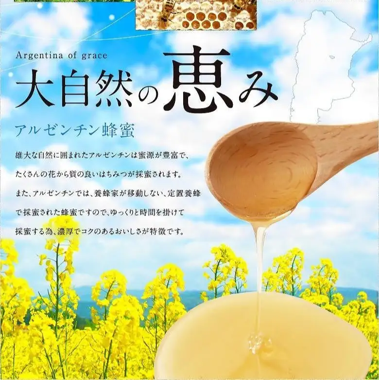 かの蜂 ピュアハニー【AR】3kg（500g×6本） 純粋はちみつ はちみつ ハチミツ 蜂蜜 ワンタッチボトル  保存食 防災グッズ 024-081