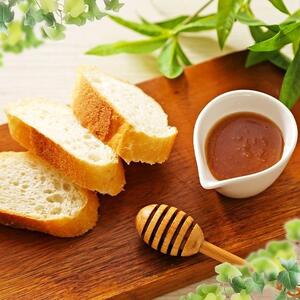 かの蜂 マヌカハニー 540g（270g×2本）マヌカ はちみつ　※エコパックはちみつ90g付き　024-082