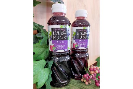 [キユーピー醸造] りんご酢・ビネガードリンクセット2 ／ 果実酢 健康 りんご酢 ビネガー ドリンク セット カシス 和柑橘 ゆず すだち だいだい フルーティ すっきり 酢 キユーピー醸造 茨城県 五霞町【価格改定】
