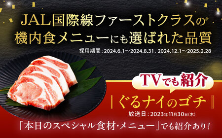 【2回定期便】＜米で育てた＞諫美豚おすすめバラエティセット3kg / 豚肉 ぶたにく 豚 ポーク 肩ロース ステーキ モモ 切り落とし ハンバーグ ロースステーキ パック 小分け / 諫早市 / 株式会社土井農場 [AHAD001]