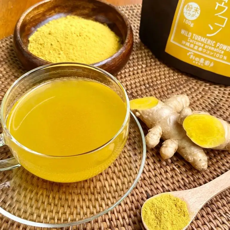 沖縄県 糸満産 春ウコン 粉末 200g ( 100g x 2個 ) セット ウコン 栽培期間中農薬除草剤不使用 粉末タイプ うこん 姜黄 キョウオウ ウコンパウダー パウダー 粉 ウコン粉末 お酒 アルコール 肝臓 ターメリック クルクミン 健康食品 沖縄県 糸満市 116-1