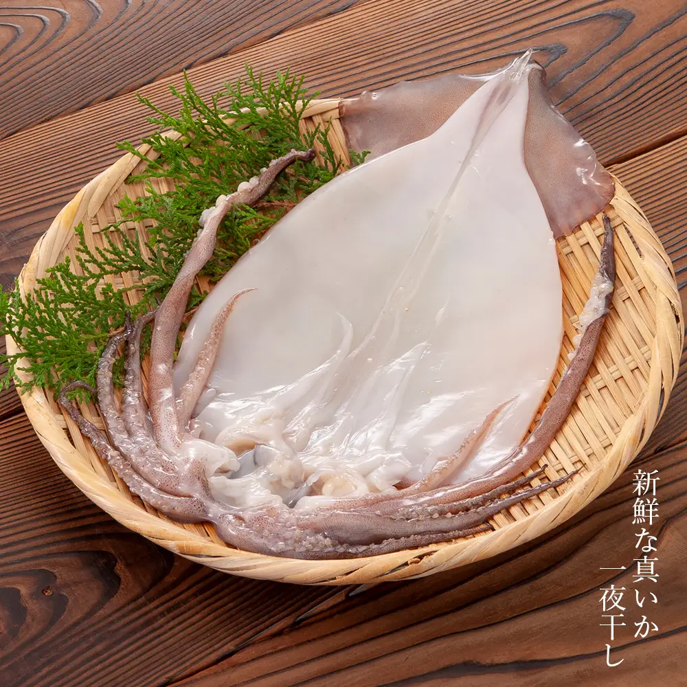イカ 一夜干し 老舗の味 真いかの一夜干し ２枚入５パックセット＜秋元水産＞