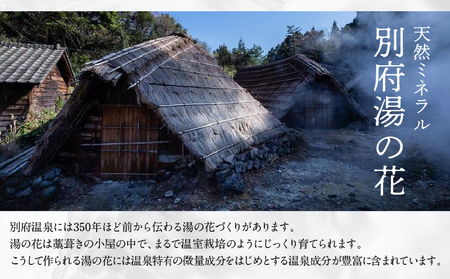 【60g×4種セット】薬用入浴剤 湯躍 別府温泉湯の花エキス配合_B023-005