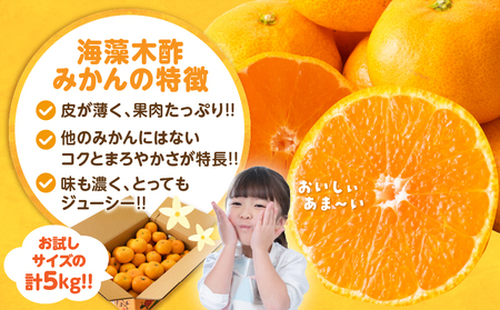 訳あり 数量限定 海藻木酢みかん 計5kg以上 傷み補償分入り フルーツ 果物 _A94-25