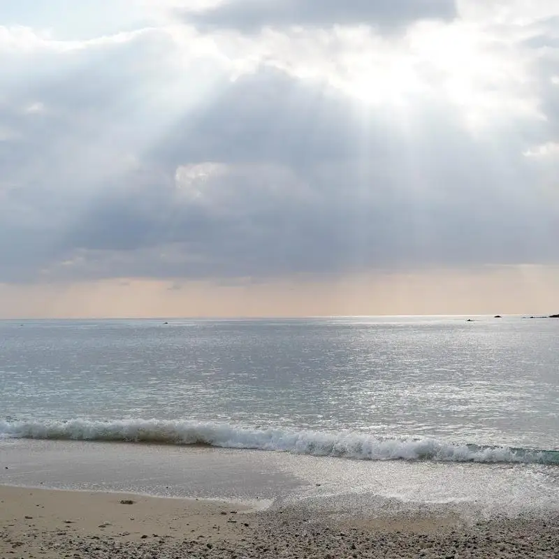 加計呂麻島散策ツアー【6時間コース】