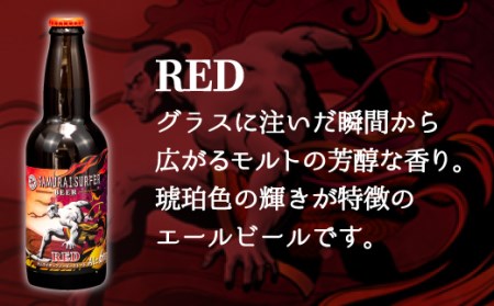 【定期便】クラフトビール 3ヶ月 計18本 クラフトビール