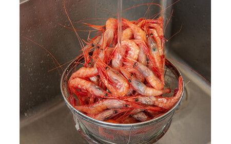 8-013-001　ましけの甘えび 1kg