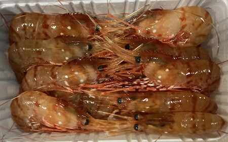 8-024-003　冷凍ボタンエビ 900g（39尾～54尾）